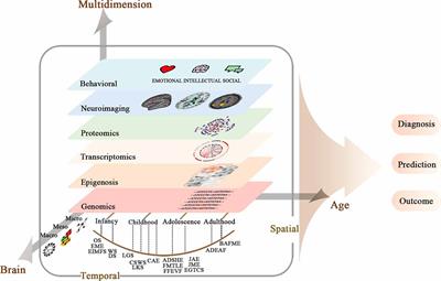 Imaging Genetics in Epilepsy: Current Knowledge and New Perspectives